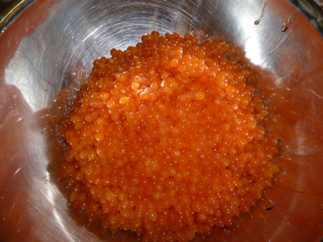 P1000337