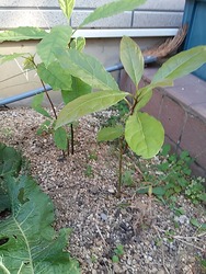 20151024_082344