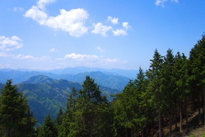 DSC08408