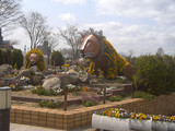 2e01263a.jpg