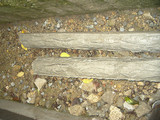 905f4d35.jpg