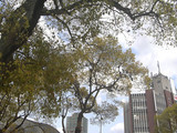 b5d1b40f.jpg