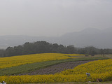 c9d4d73b.jpg