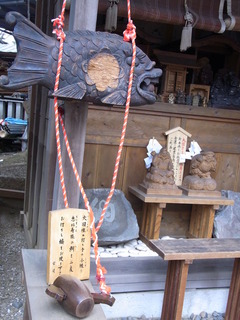 RIMG2867