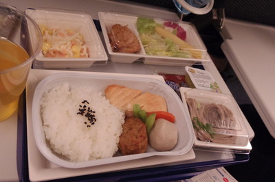 スイス旅行記 全日空 フランクフルト羽田IMGP3998