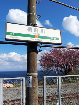 根府川20150415_152852