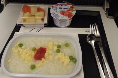 スイス旅行記 全日空 フランクフルト羽田IMGP4003