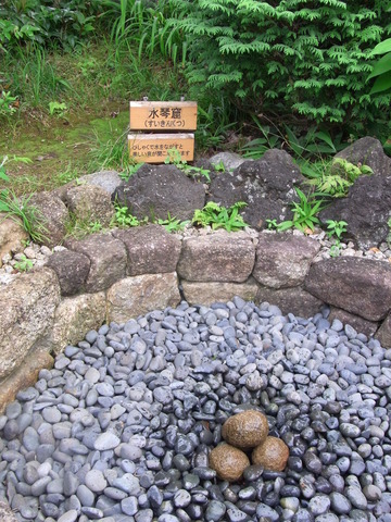 RIMG0948