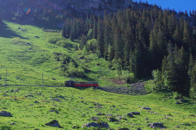 スイス旅行記 シーニゲプラッテ SPB登山鉄道IMGP2954