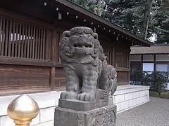 RIMG2683