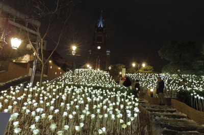 The Light Rose Garden 明洞聖堂IMGP4809