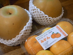 RIMG2365