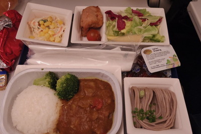 スイス旅行記 全日空 フランクフルト羽田IMGP3997