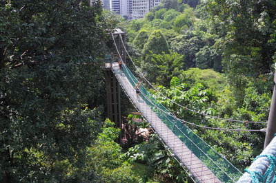 KLフォレストエコパークIMGP5614