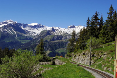 スイス旅行記 シーニゲプラッテ SPB登山鉄道IMGP2958