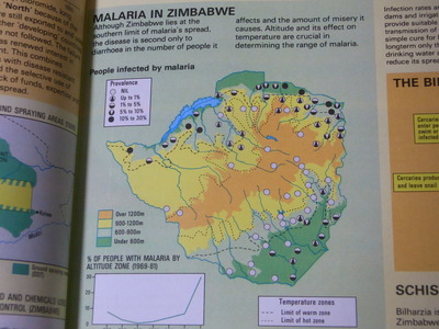 ¥¸¥ó¥Ð¥Ö¥¨¡¡À¤³¦ÃÏ¿ÞÄ¢RIMG2287