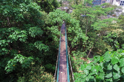 KLフォレストエコパークIMGP5613