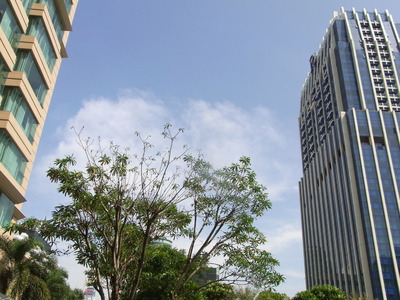 RIMG0283