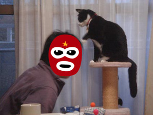 BlogPaint