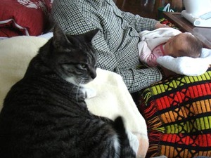 DSC08560