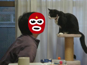 BlogPaint