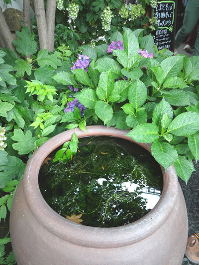 DSC01403