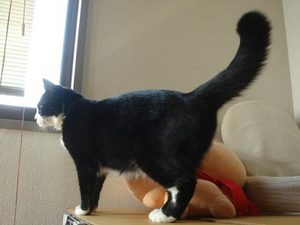 DSC06022