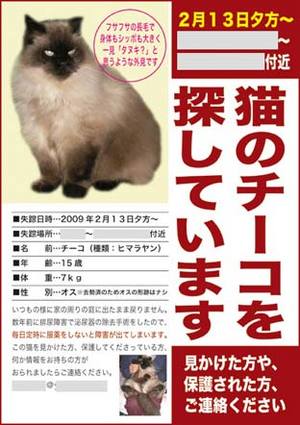 mayoineko_sample_C