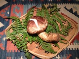 ec1819f8.jpg