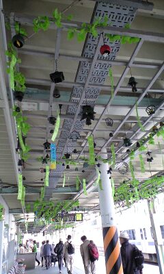 d165a8d2.jpg