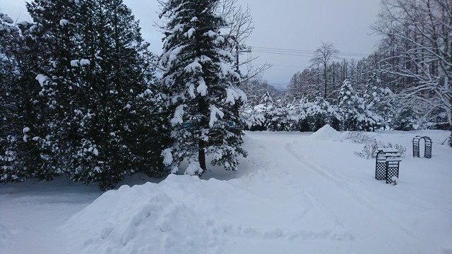 pics