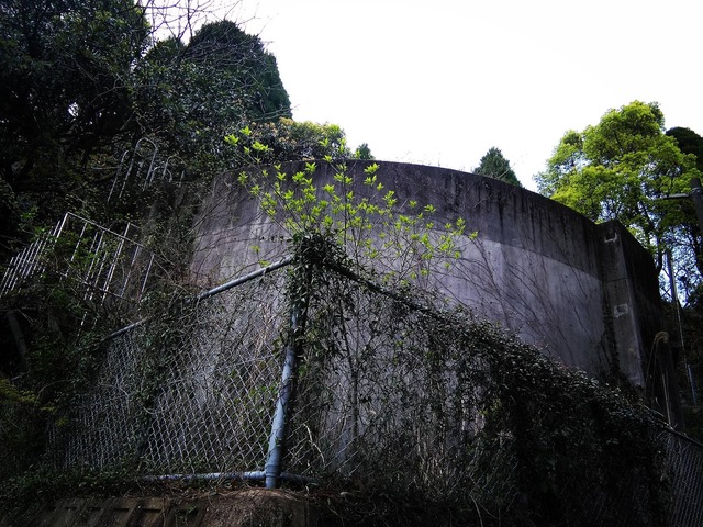 pics