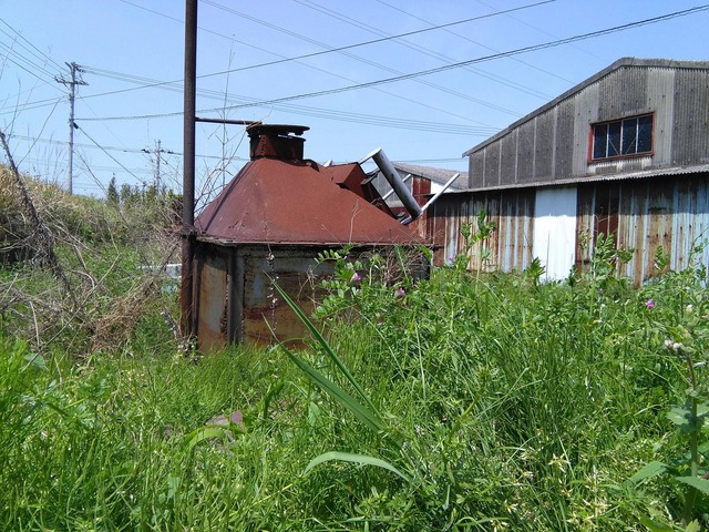pics