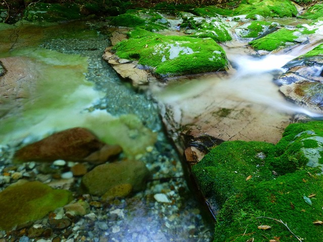pics