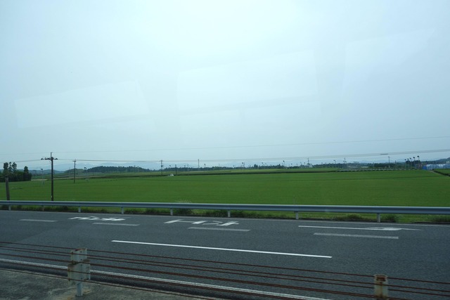 pics