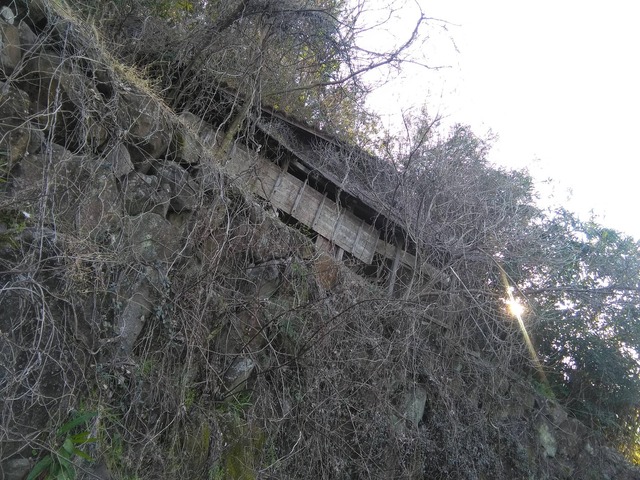 pics