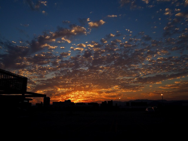 pics
