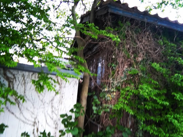 pics