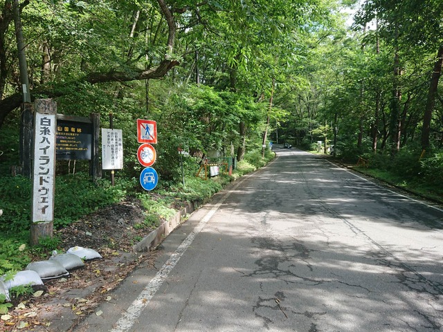 pics