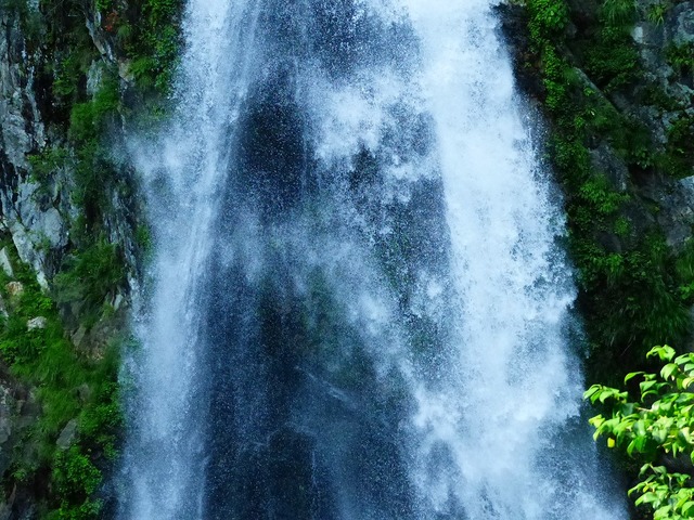 pics