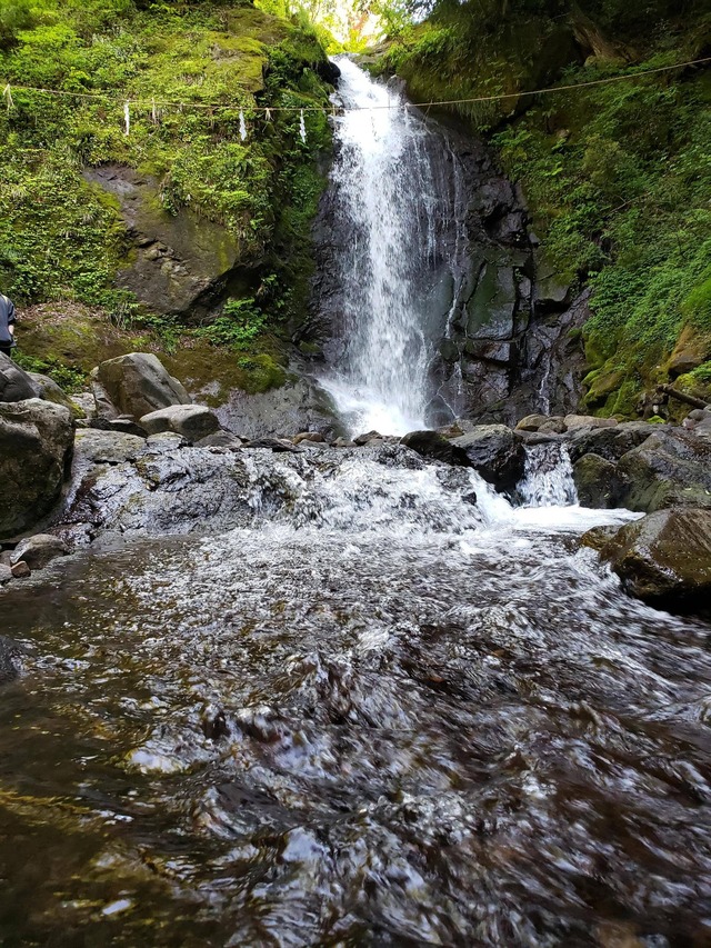 pics