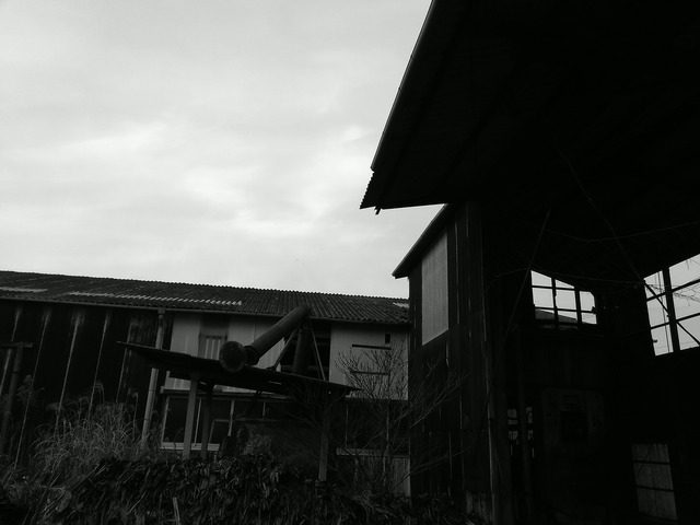 pics