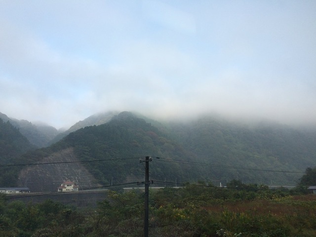 pics