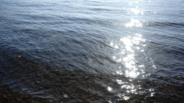 pics