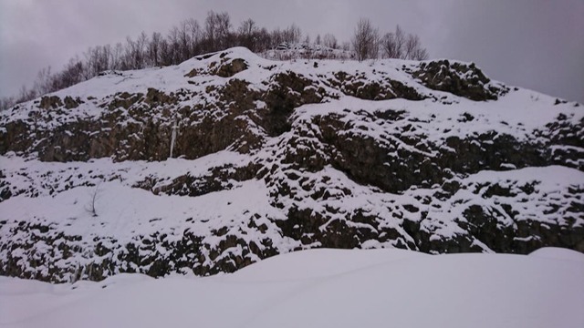 pics