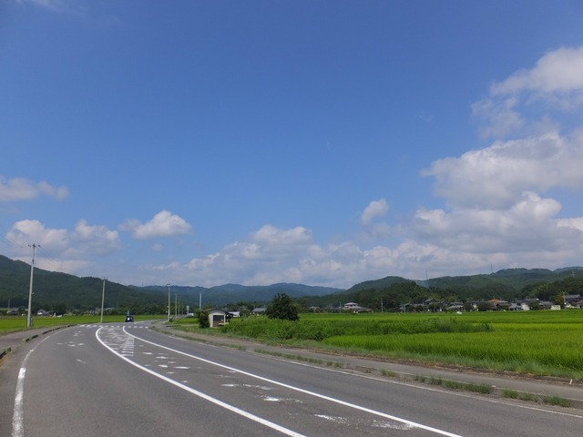 pics