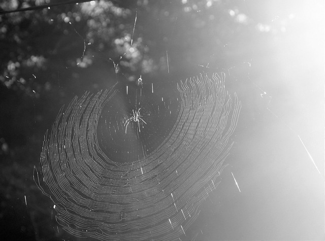 23078244042_88a7e326d3_c (1)