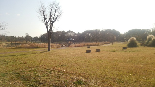 pics