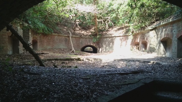 pics