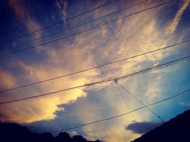 pics